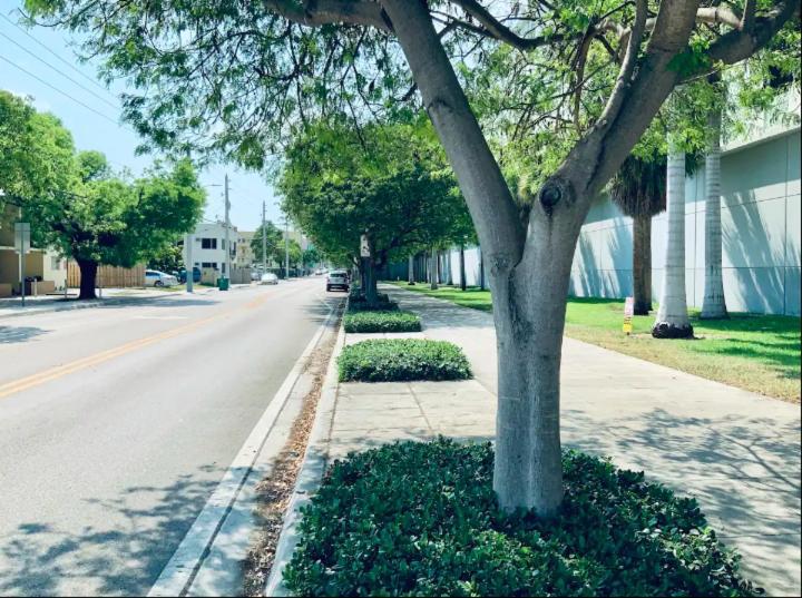 Apartments In The Heart Of Miami - Port Of Miami / Miami Airport Exteriör bild